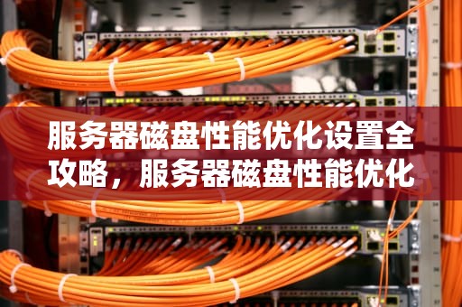 服务器磁盘性能优化设置全攻略，服务器磁盘性能优化设置在哪