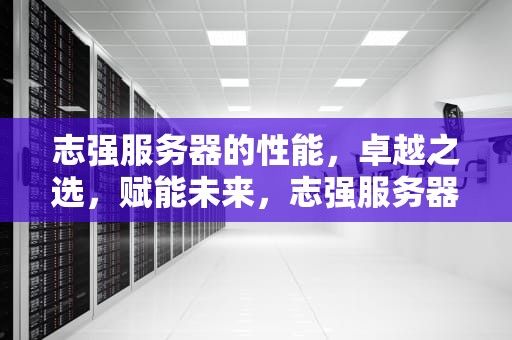 志强服务器的性能，卓越之选，赋能未来，志强服务器的性能怎么样