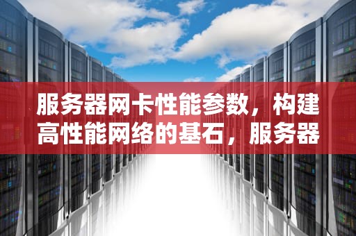 服务器网卡性能参数，构建高性能网络的基石，服务器网卡性能参数怎么看