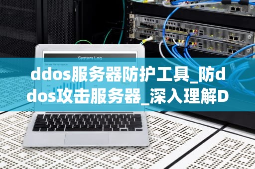 ddos服务器防护工具_防ddos攻击服务器_深入理解DDoS服务器防护工具及其重要性