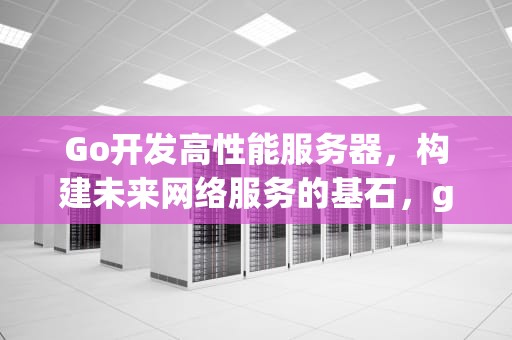 Go开发高性能服务器，构建未来网络服务的基石，go开发高性能服务器有哪些