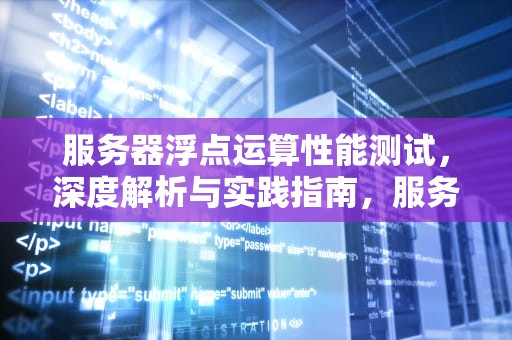 服务器浮点运算性能测试，深度解析与实践指南，服务器浮点运算性能测试方法