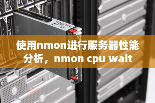 使用nmon进行服务器性能分析，nmon cpu wait