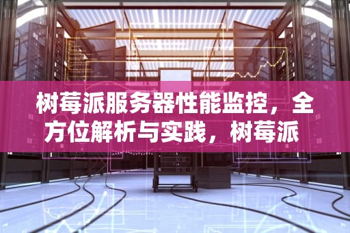 树莓派服务器性能监控，全方位解析与实践，树莓派 监控服务器