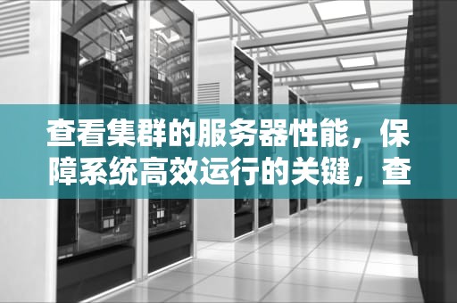查看集群的服务器性能，保障系统高效运行的关键，查看集群的服务器性能参数