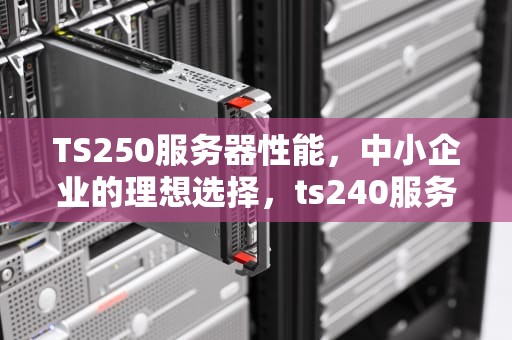 TS250服务器性能，中小企业的理想选择，ts240服务器