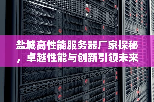 盐城高性能服务器厂家探秘，卓越性能与创新引领未来，盐城高性能服务器厂家有哪些