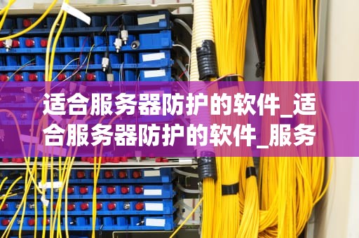 适合服务器防护的软件_适合服务器防护的软件_服务器防护软件的重要性及选择指南