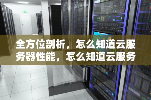 全方位剖析，怎么知道云服务器性能，怎么知道云服务器性能参数