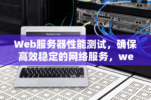 Web服务器性能测试，确保高效稳定的网络服务，web服务器的性能测试是什么