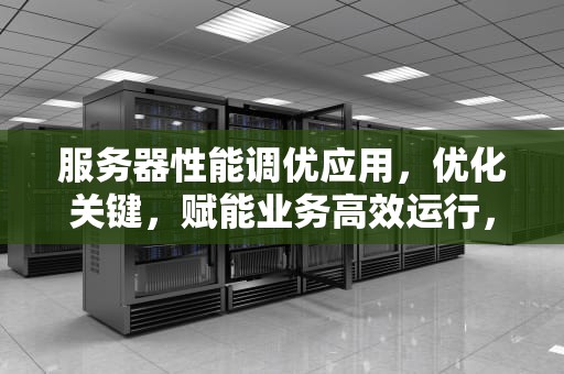 服务器性能调优应用，优化关键，赋能业务高效运行，服务器性能调优应用程序