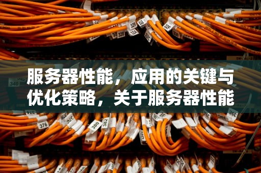 服务器性能，应用的关键与优化策略，关于服务器性能的应用有哪些