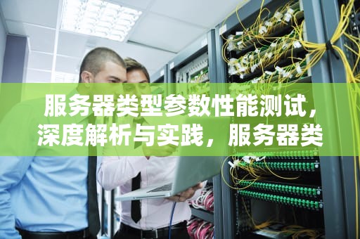 服务器类型参数性能测试，深度解析与实践，服务器类型参数性能测试方法