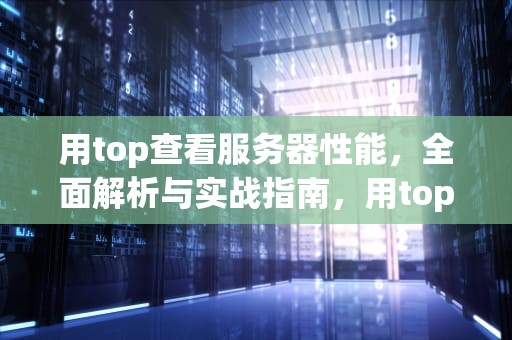 用top查看服务器性能，全面解析与实战指南，用top查看服务器性能参数