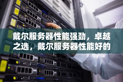 戴尔服务器性能强劲，卓越之选，戴尔服务器性能好的型号