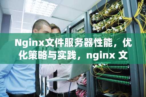 Nginx文件服务器性能，优化策略与实践，nginx 文件服务器配置