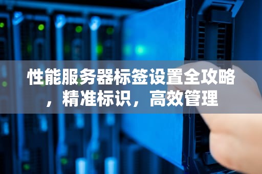 性能服务器标签设置全攻略，精准标识，高效管理