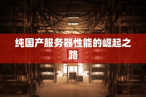 纯国产服务器性能的崛起之路