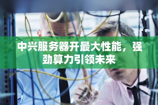 中兴服务器开最大性能，强劲算力引领未来
