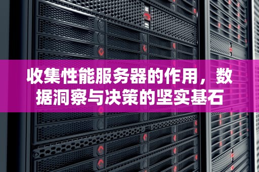 收集性能服务器的作用，数据洞察与决策的坚实基石