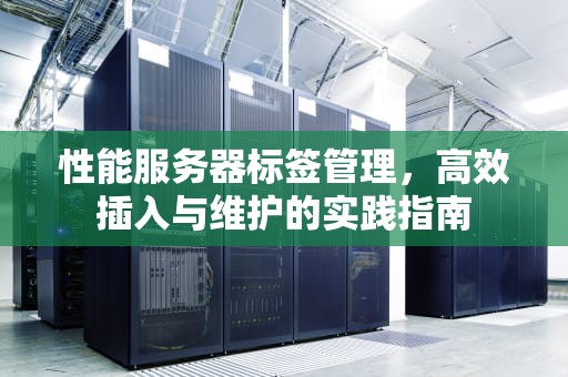 性能服务器标签管理，高效插入与维护的实践指南