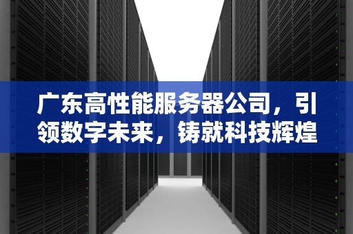 广东高性能服务器公司，引领数字未来，铸就科技辉煌
