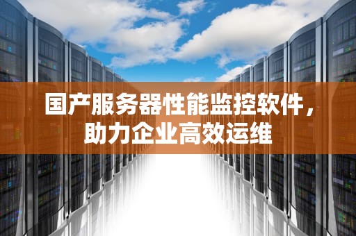国产服务器性能监控软件，助力企业高效运维