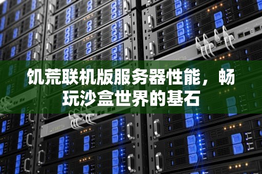饥荒联机版服务器性能，畅玩沙盒世界的基石