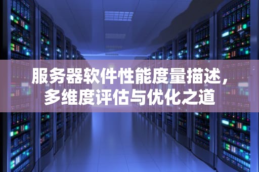 服务器软件性能度量描述，多维度评估与优化之道
