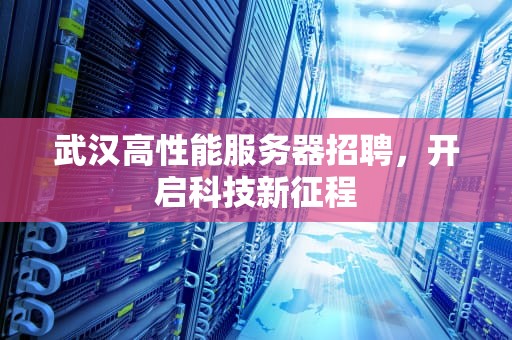 武汉高性能服务器招聘，开启科技新征程