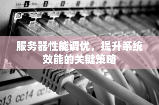 服务器性能调优，提升系统效能的关键策略