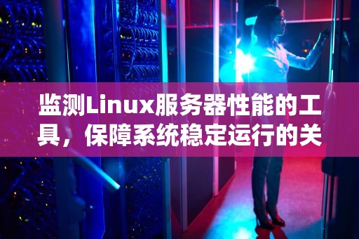 监测Linux服务器性能的工具，保障系统稳定运行的关键利器