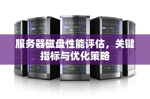 服务器磁盘性能评估，关键指标与优化策略