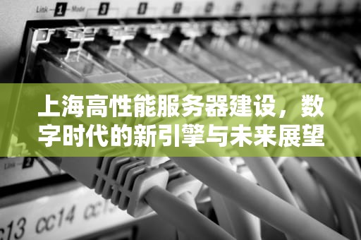 上海高性能服务器建设，数字时代的新引擎与未来展望