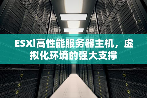 ESXi高性能服务器主机，虚拟化环境的强大支撑