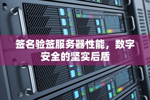 签名验签服务器性能，数字安全的坚实后盾