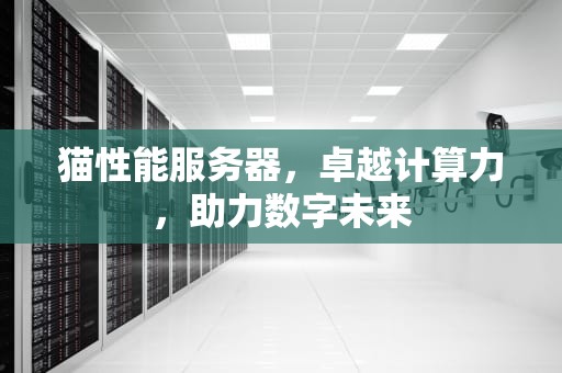 猫性能服务器，卓越计算力，助力数字未来