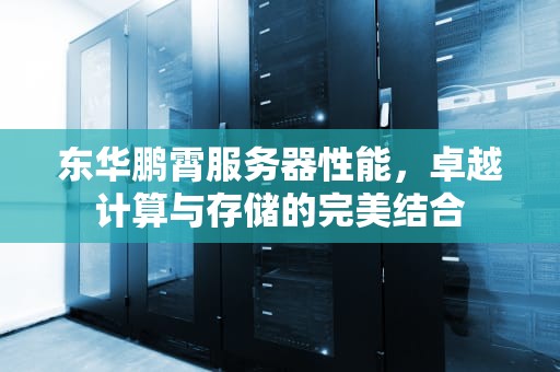 东华鹏霄服务器性能，卓越计算与存储的完美结合