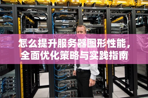 怎么提升服务器图形性能，全面优化策略与实践指南