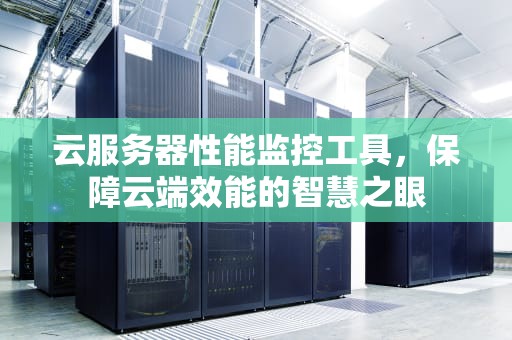 云服务器性能监控工具，保障云端效能的智慧之眼