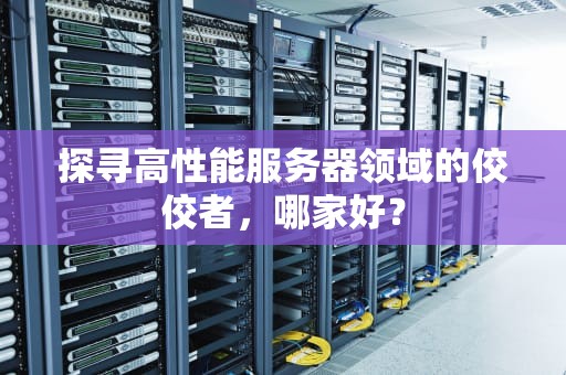 探寻高性能服务器领域的佼佼者，哪家好？