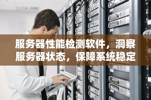 服务器性能检测软件，洞察服务器状态，保障系统稳定运行