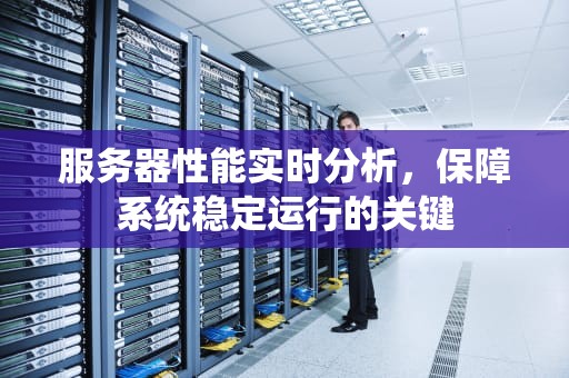 服务器性能实时分析，保障系统稳定运行的关键