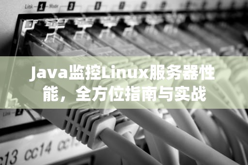 Java监控Linux服务器性能，全方位指南与实战