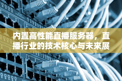 内置高性能直播服务器，直播行业的技术核心与未来展望