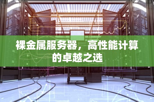 裸金属服务器，高性能计算的卓越之选