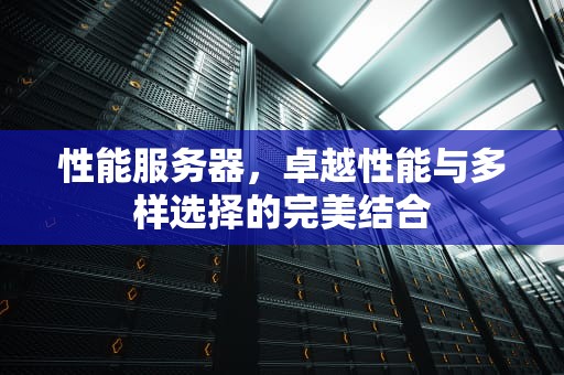 性能服务器，卓越性能与多样选择的完美结合