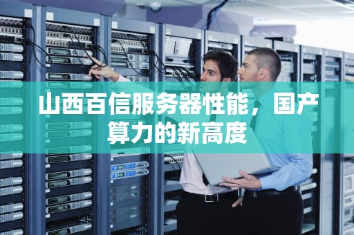 山西百信服务器性能，国产算力的新高度
