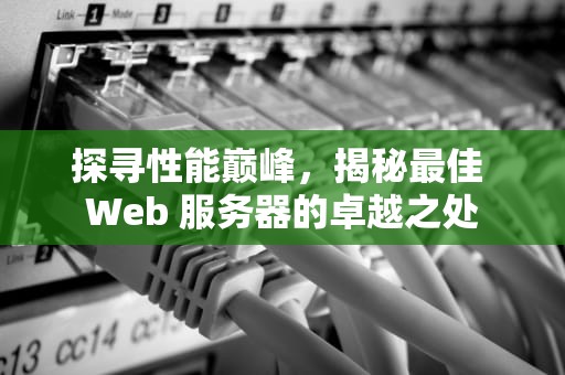 探寻性能巅峰，揭秘最佳 Web 服务器的卓越之处
