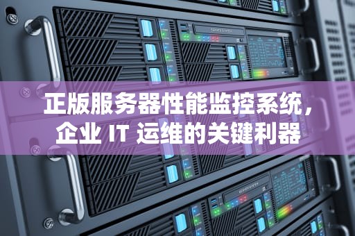 正版服务器性能监控系统，企业 IT 运维的关键利器
